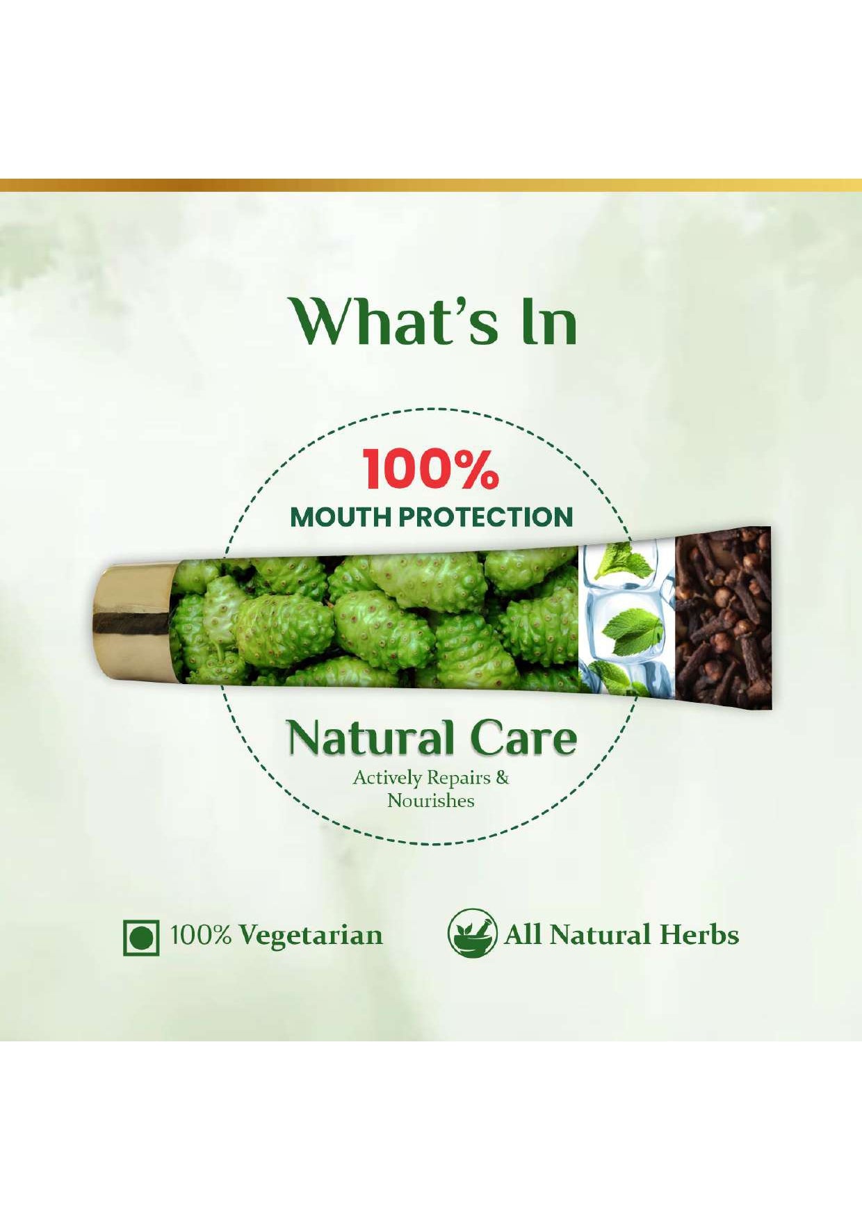 whats in noni toothpaste natural care