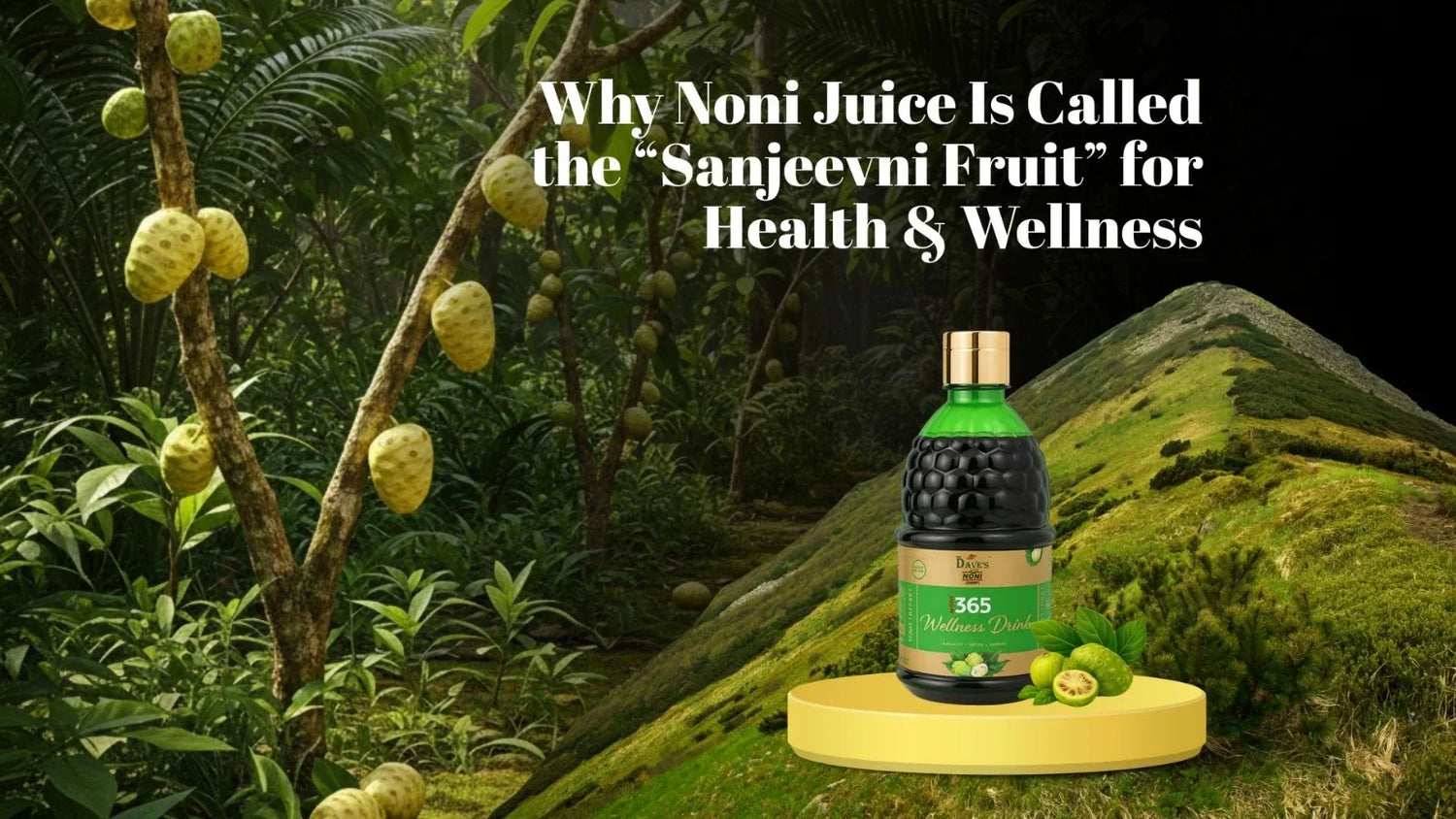 Why Noni Juice Is Called the “Sanjeevni Fruit” for Health & Wellness
