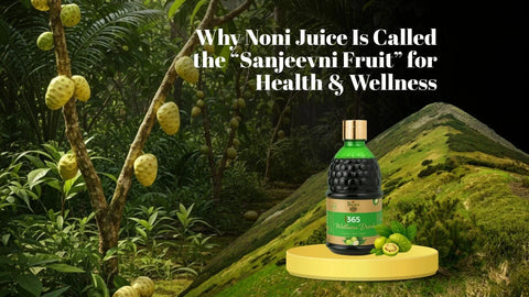 Why Noni Juice Is Called the “Sanjeevni Fruit” for Health & Wellness