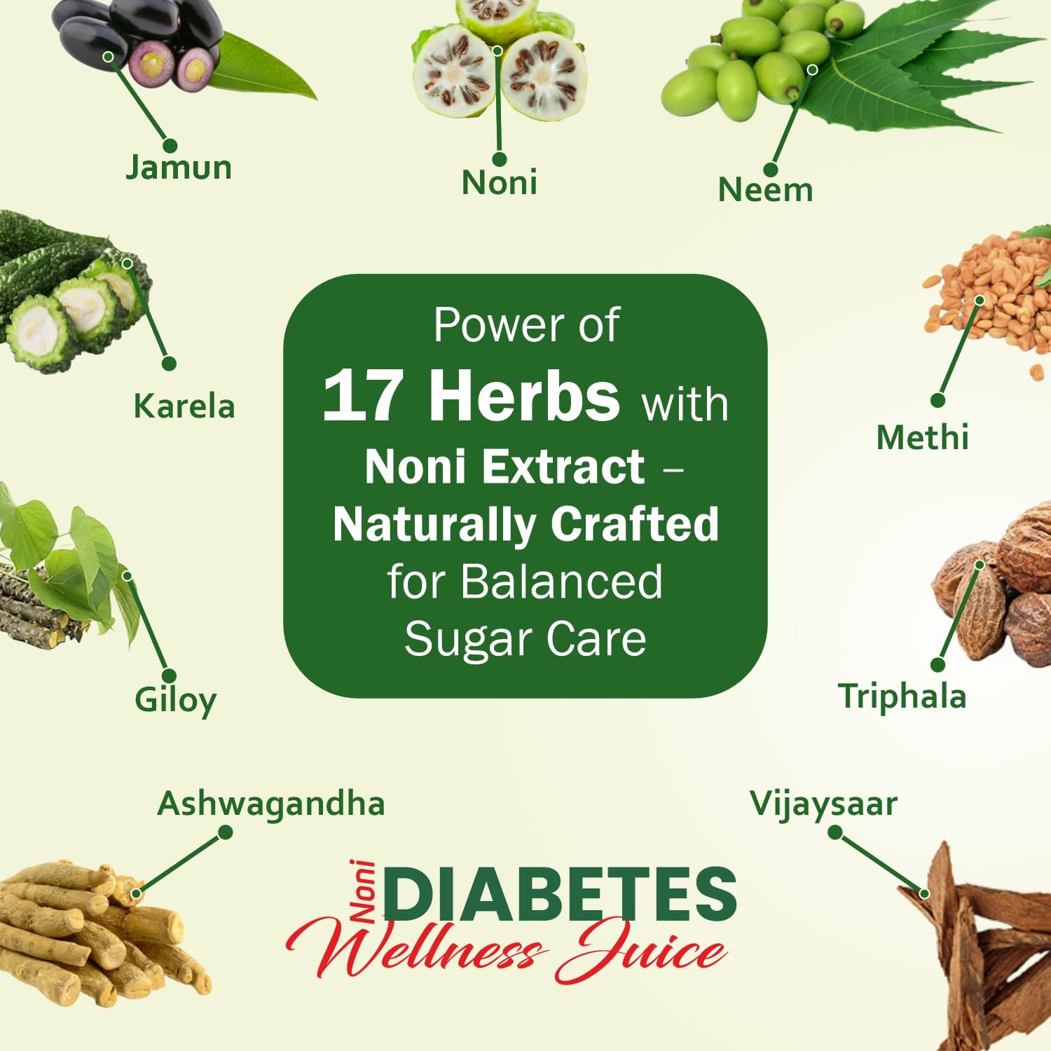 noni diabetes wellness juice