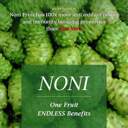 Noni One Fruit Endless Benefits