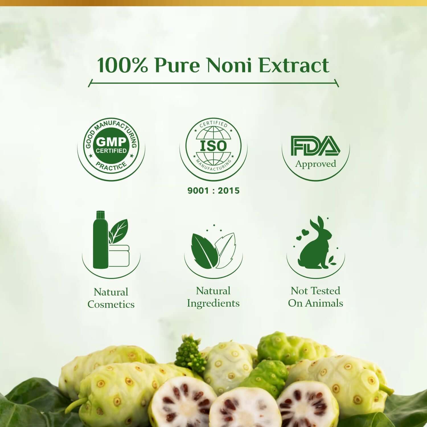 Noni powder outlet benefits