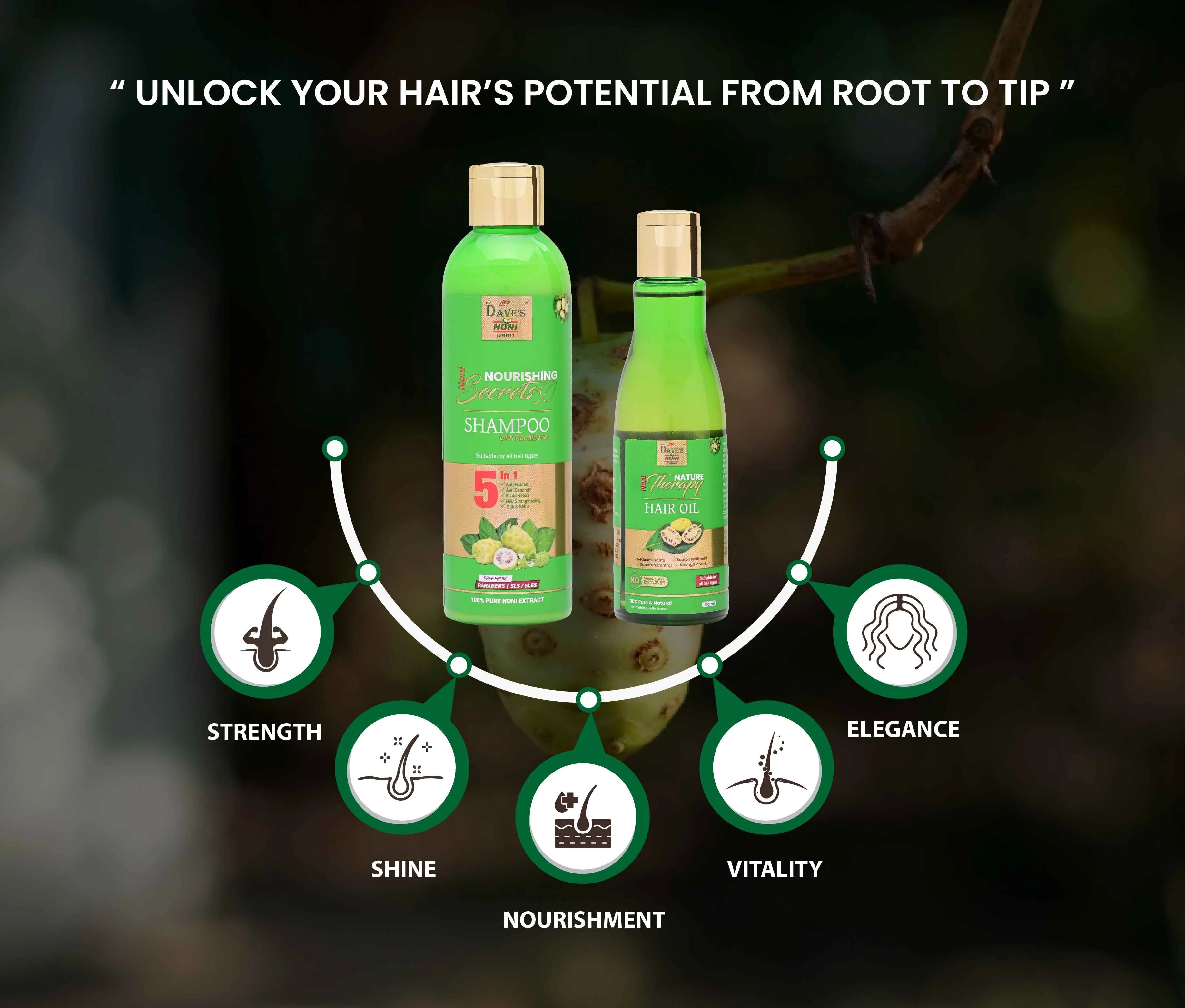 Noni Shampoo &amp; Hair Oil Benefits